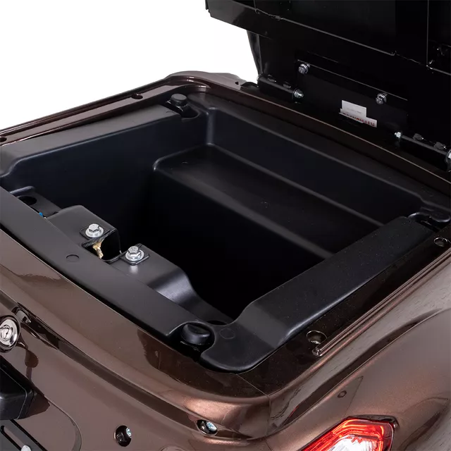 Skuter elektryczny trójkołowy inSPORTline Zorica  ∙ napęd 1000 W ∙ 3 tryby prędkości ∙ zasięg 45 km - Bordowy