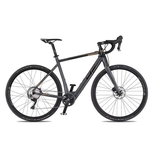 Rower elektryczny gravelowy 4EVER ENGRAVE PRO ∙ osprzęt Shimano GRX ∙ lekka waga 15,3 kg ∙ zasięg do 80 km ∙ karbonowy widelec ∙ gravel - tytan/hologram - tytan/metal złoto