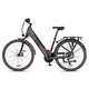 Miejski rower elektryczny inSPORTline ISL Eclion 648 Wh 28" - model 2026 ∙ bateria 648 Wh ∙ zasięg do 120 km ∙ amortyzowany widelec ∙ nośność 120 kg - Żółty promień słońca