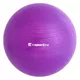 Piłka gimnastyczna / fitness do ćwiczeń Top Ball inSPORTline 55 cm ∙ nośność 600 kg ∙ antypoślizgowa powierzchnia - Ciemny szary - Fioletowy