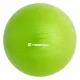 Piłka gimnastyczna / fitness do ćwiczeń Top Ball inSPORTline 55 cm ∙ nośność 600 kg ∙ antypoślizgowa powierzchnia - Ciemny szary - Zielony