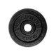 Obciążenie żeliwne inSPORTline CastCzech 30 mm 0,5-20 kg