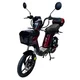 Skuter elektryczny W-TEC E-Greta II 12Ah 18" ∙ silnik 350 W ∙ zasięg do 50 km ∙ nośność 120 kg ∙ akumulator 15 Ah - Niebieski - Czerwony