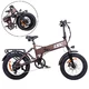 Składany rower elektryczny typu fat bike inSPORTline ISL Baxom 840Wh 20" - Czarny - Deep Coffee