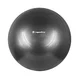 Piłka gimnastyczna inSPORTline Stretch Ball 65 cm ∙ z podstawą BallBase ∙ wypustki masujące ∙ nośność 200 kg ∙ piktogramy ćwiczeń - Czarny