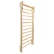 Drabinka gimnastyczna inSPORTline Shapemar 240x90 cm ∙ 13 szczebli ∙ nośność 130 kg ∙ drewno bukowe