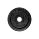 Zestaw obciążeń żeliwnych inSPORTline CastCzech ∙ 2x 0,5-20 kg ∙ 30 mm ∙ 108,5 kg