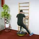 Trener równowagi do ćwiczeń ∙ platforma balansująca inSPORTline Dome UNI ∙ z linkami oporowymi ∙ stabilny ∙ antypoślizgowy
