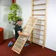 Drabinka gimnastyczna inSPORTline Shapemar 240x90 cm ∙ 13 szczebli ∙ nośność 130 kg ∙ drewno bukowe