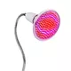 Lampa LED rozgrzewająca inSPORTline Vlora ∙ klips + elastyczne ramię ∙ 300 diod RED ∙ timer + pilot