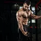 Koło pasowe treningowe inSPORTline Puley 100 ∙ kompaktowy system wyciągowy ∙ udźwig 160 kg