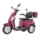 Skuter elektryczny trójkołowy inSPORTline Zorica  ∙ napęd 1000 W ∙ 3 tryby prędkości ∙ zasięg 45 km - Bordowy - Bordowy